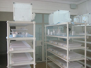 Construction Mosquito Functional Studies Facility Mali Episode 5